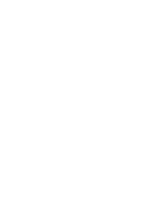 Nuevo Turismo Mx